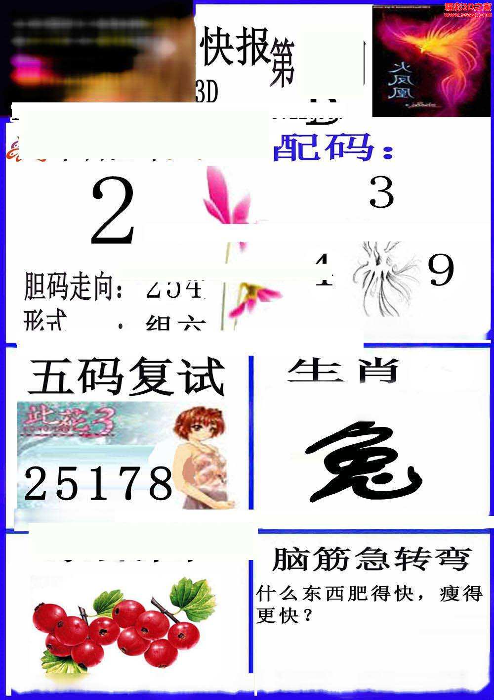 新澳彩资料免费资料大全33图库	