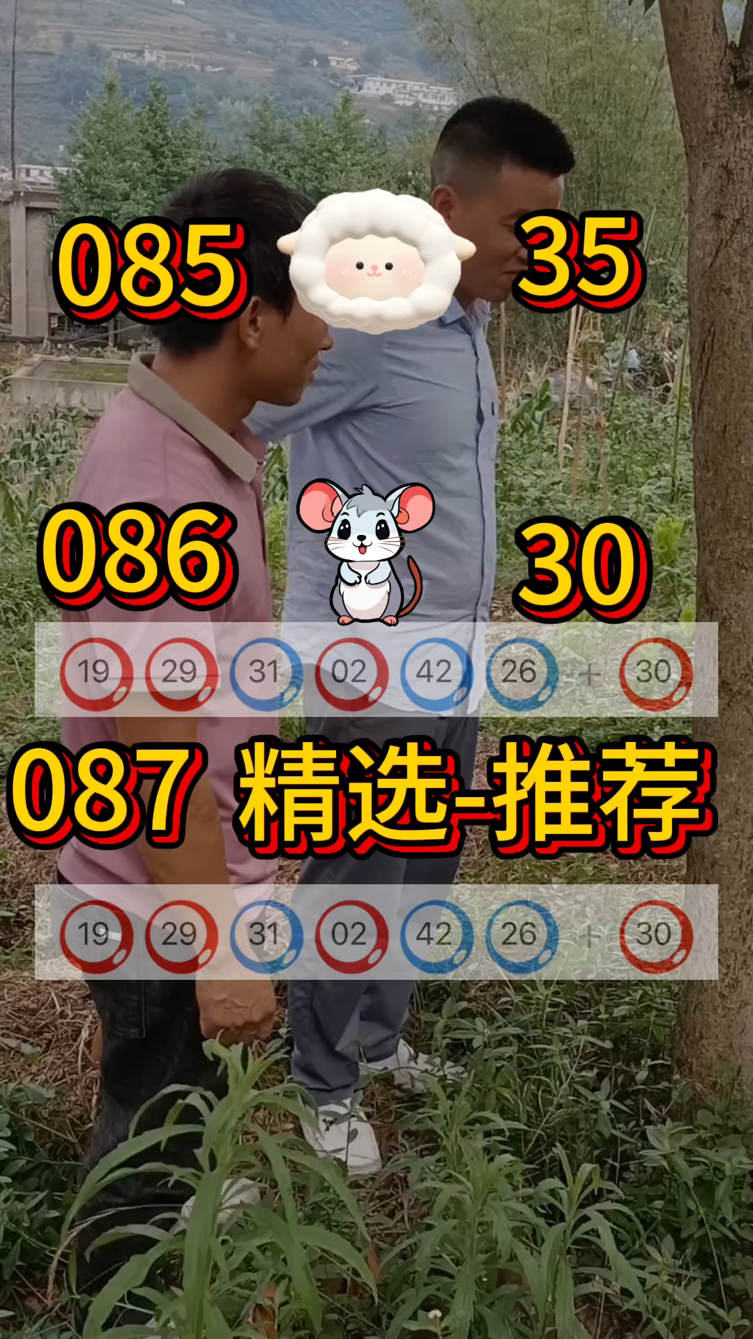 新澳今日最新资料