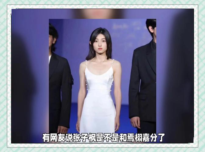 游客撞脸张子枫