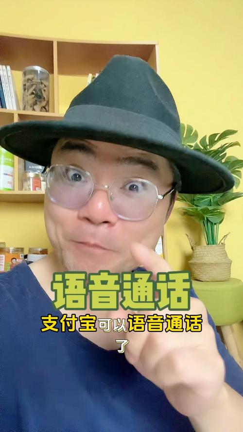 支付宝语音通话上线