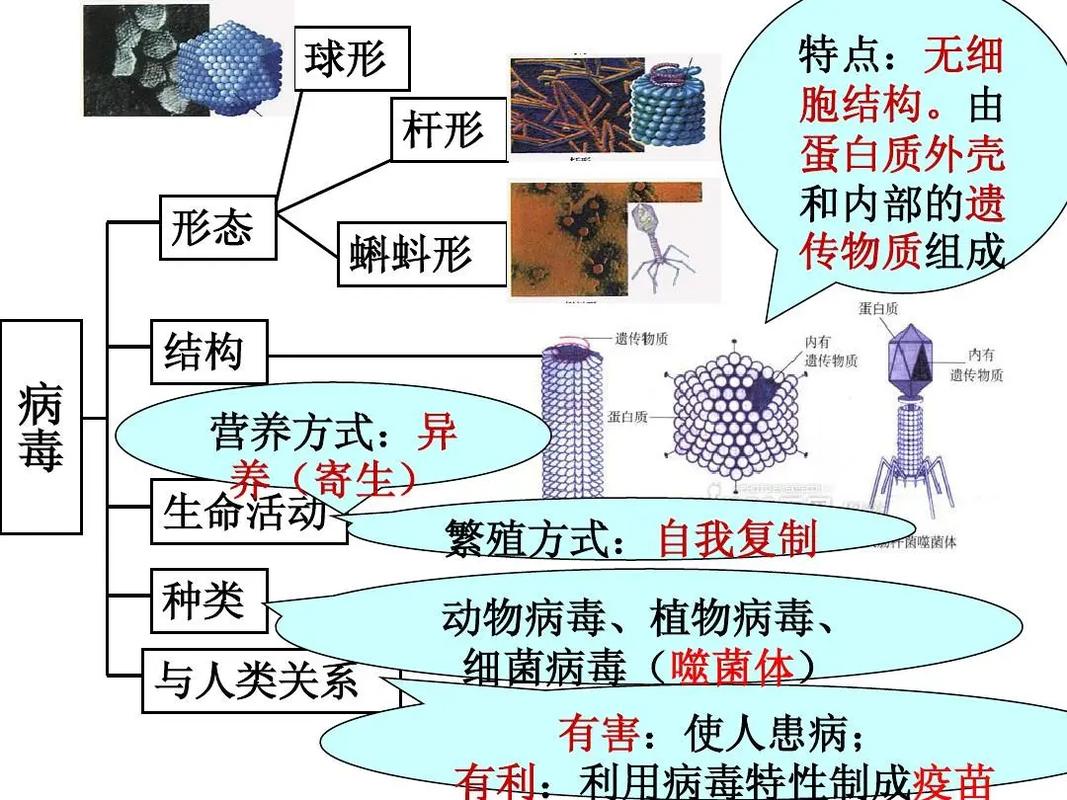 发现微生物新物种,发现微生物新物种的意义