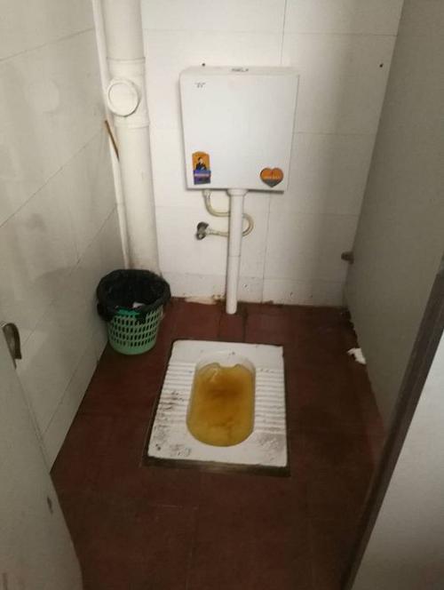 千万建10个厕所被查,