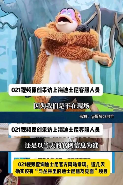 上海迪士尼游客打架,上海迪士尼游客打架视频