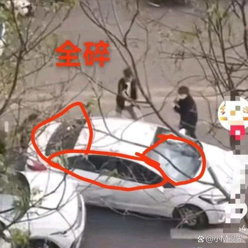 女子持械打砸多辆车,女子持械打砸多辆车视频