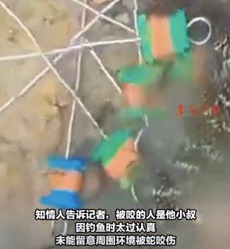 男子在湖边被蛇咬伤,男子在湖边被蛇咬伤视频
